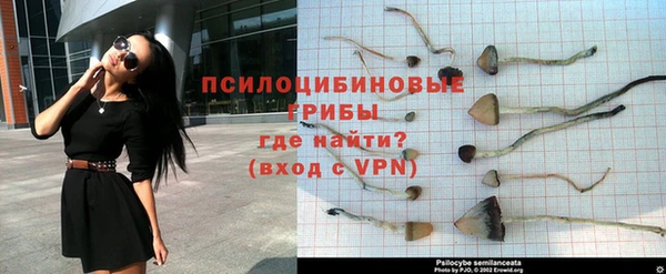 наркотики Абинск