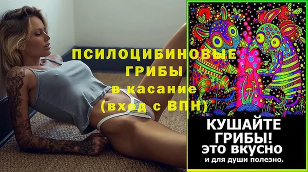 ГАЛЛЮЦИНОГЕННЫЕ ГРИБЫ Алзамай